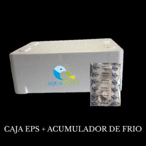 caja de eps con acumulador de frio para el transporte de alimento vivo y congelado para peces